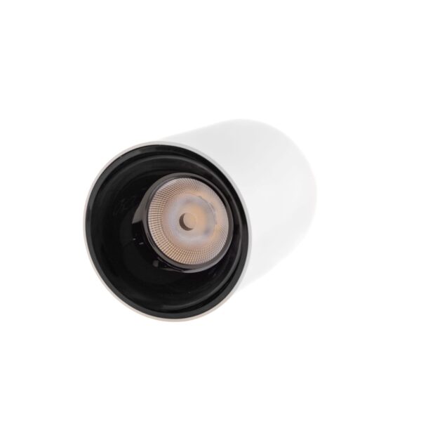 LED pinnavalgusti BERGEN 15W, 4000K, UGR19, IP65, Ø115x152mm, valge/must
