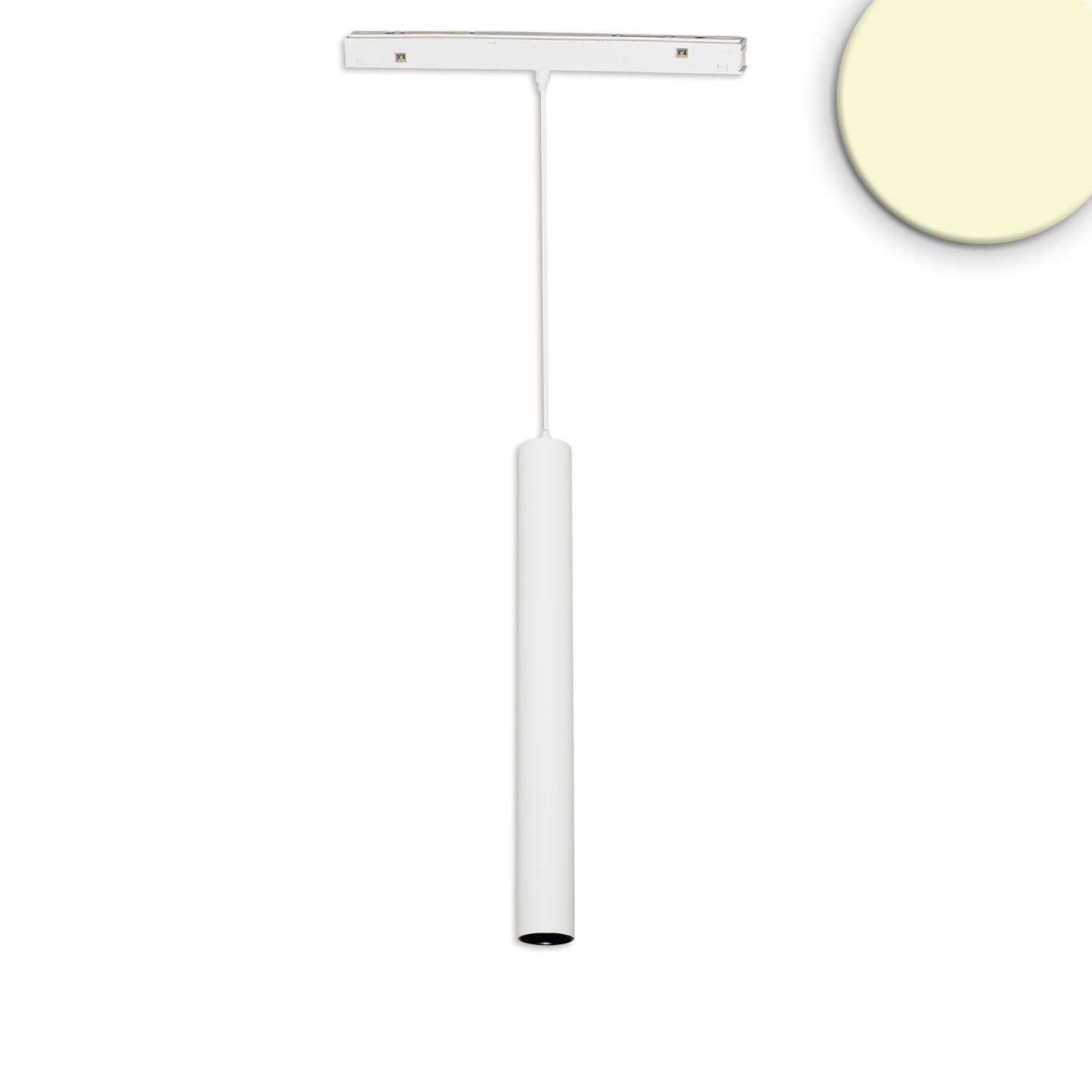 MAGNET LED siinivalgusti PIPE 7W, 3000K, 36°, UGR<19, DALI DIM, valge